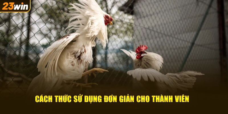 Cách thức sử dụng đơn giản cho thành viên 23win