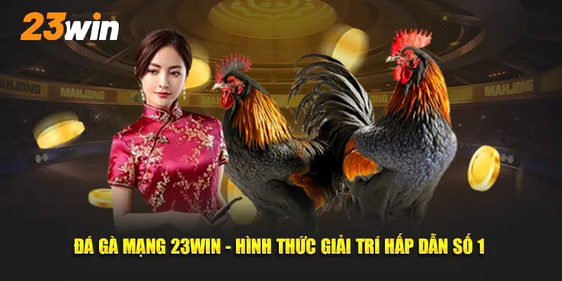 đá gà mạng hình thực giải trí hấp dẫn xuất hiện tại 23win