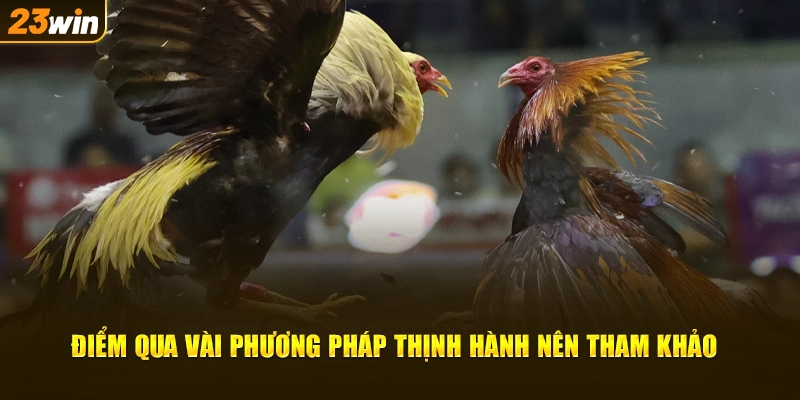 Điểm qua vài phương pháp thịnh hành về bí kíp xem ngày đá gà nên tham khảo