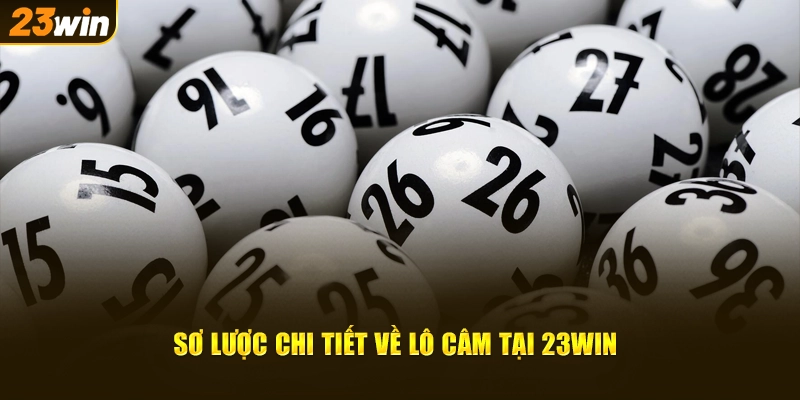 Sơ lược chi tiết về lô câm tại 23WIN