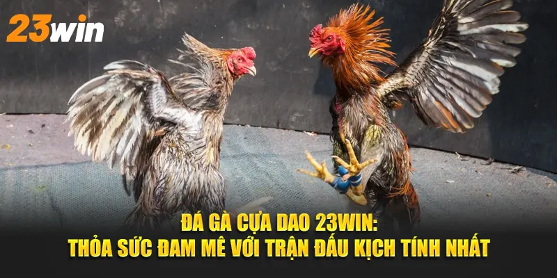 Đá gà cựa dao 23win: Thỏa sức đam mê với trận đấu hấp dẫn