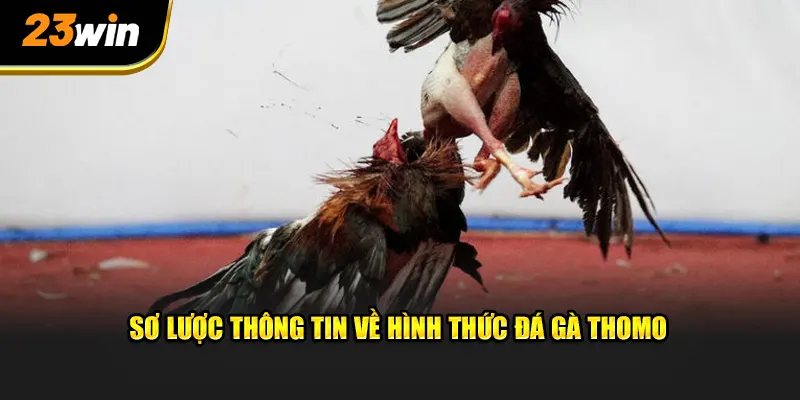 Sơ lược thông tin về hình thức giải trí chất lượng đang có tại 23WIN